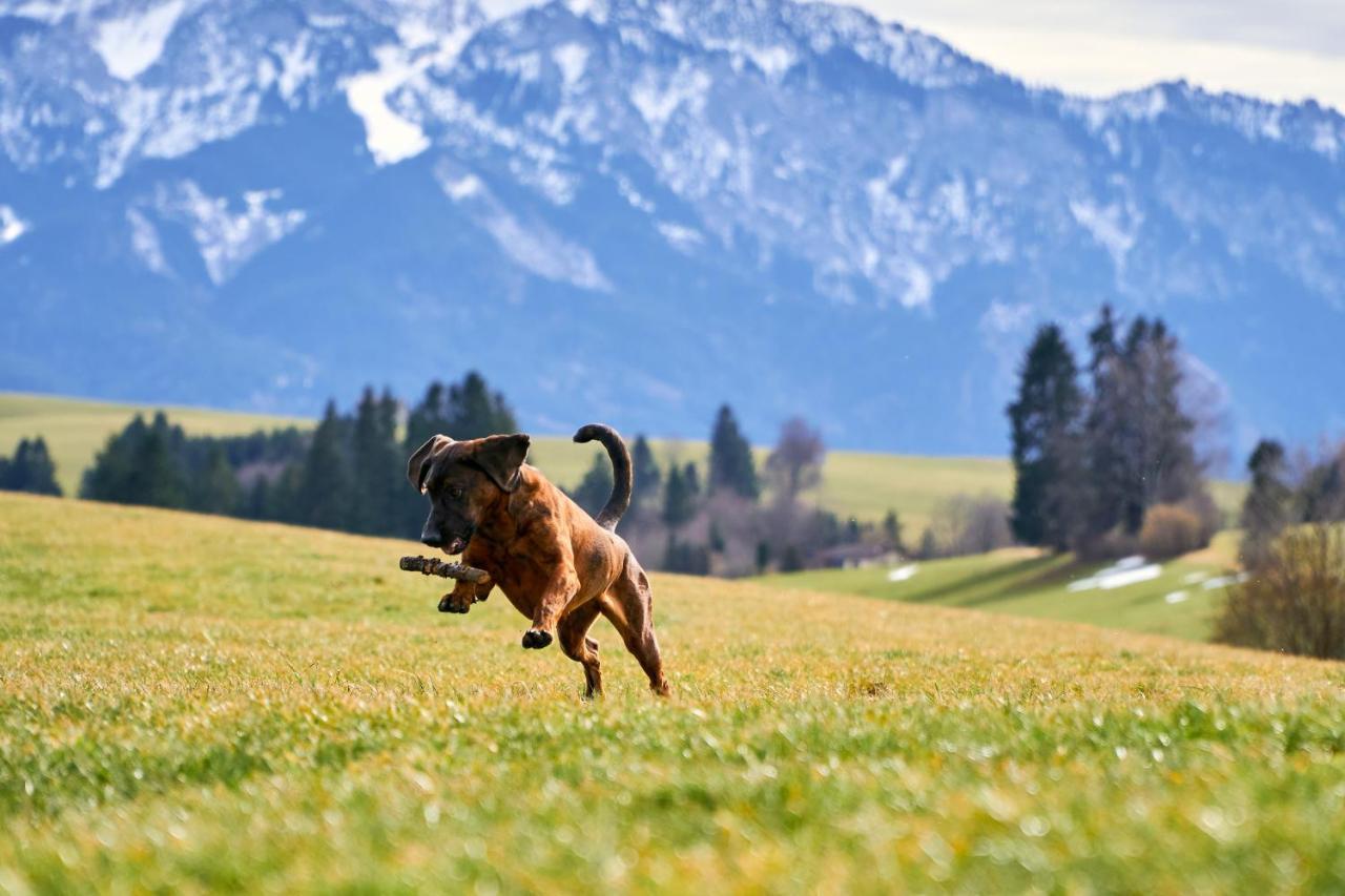 Ferienwohnung Griabig Schwangau Luaran gambar